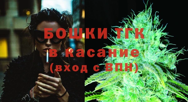 шишки Беломорск