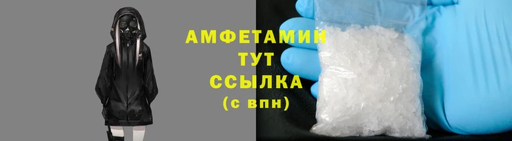 шишки Беломорск