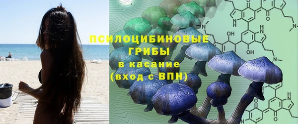 MDMA Белокуриха
