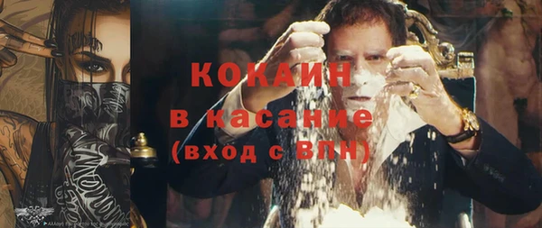 шишки Беломорск
