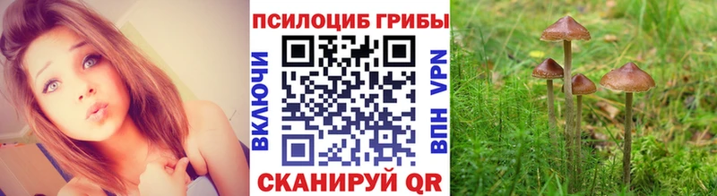 Галлюциногенные грибы ЛСД  Киселёвск 